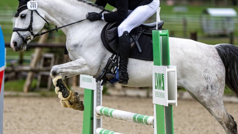 Vielseitigkeitsreiten in Kamp: Valentina Wolters feiert Heimsieg mit Kreistitel