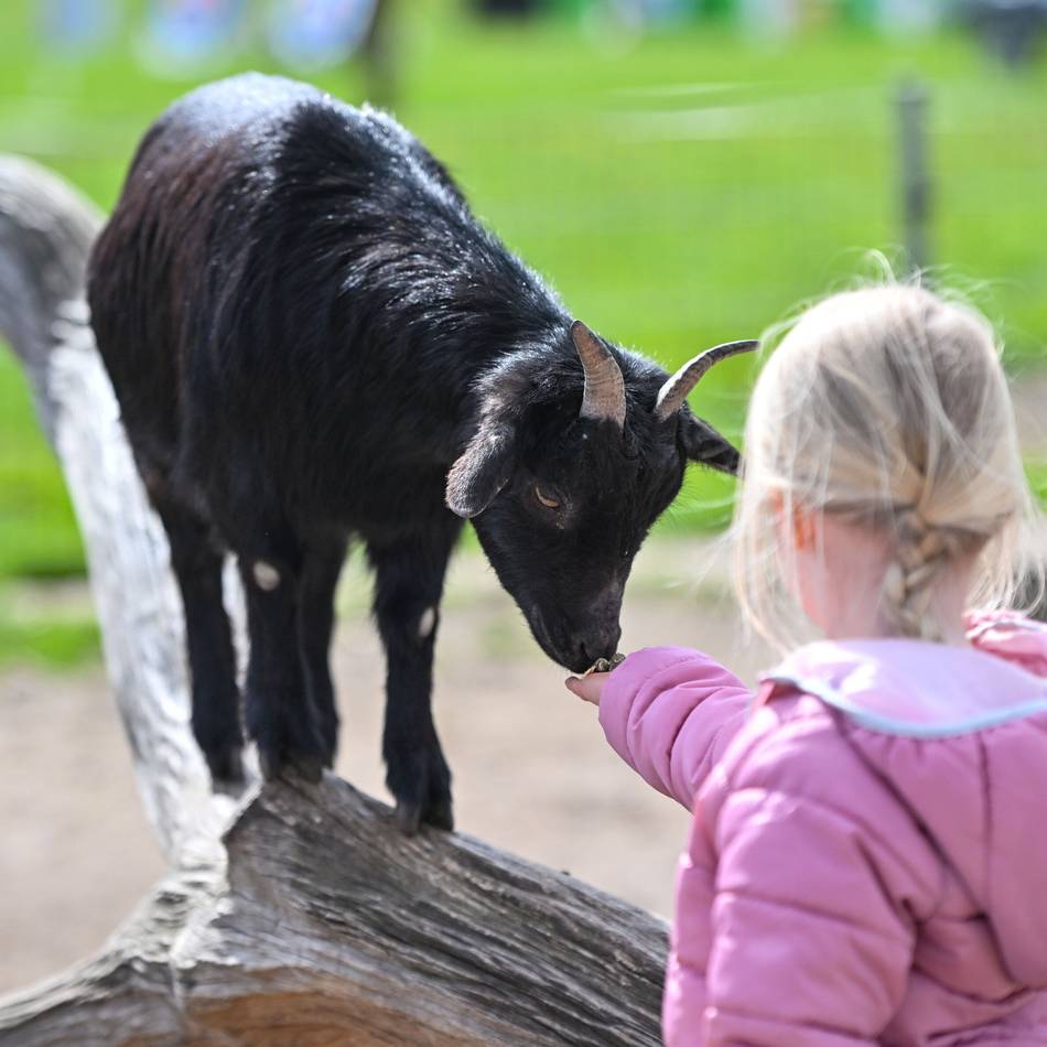 Gewinnspiel zu 80 Jahre RP: Zum Jubiläum der RP – exklusive Führung im Tierpark Weeze