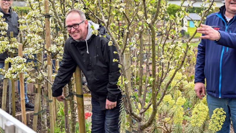 Kleingärtner in Tönisberg: „Am liebsten pflanze ich etwas Neues“