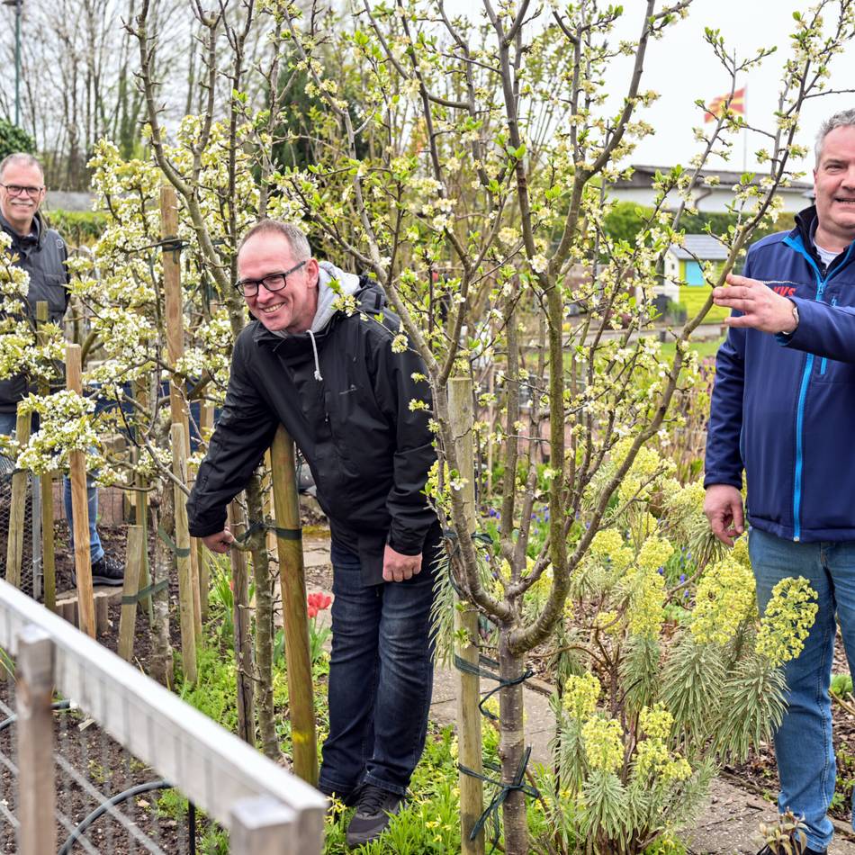Kleingärtner in Tönisberg: „Am liebsten pflanze ich etwas Neues“