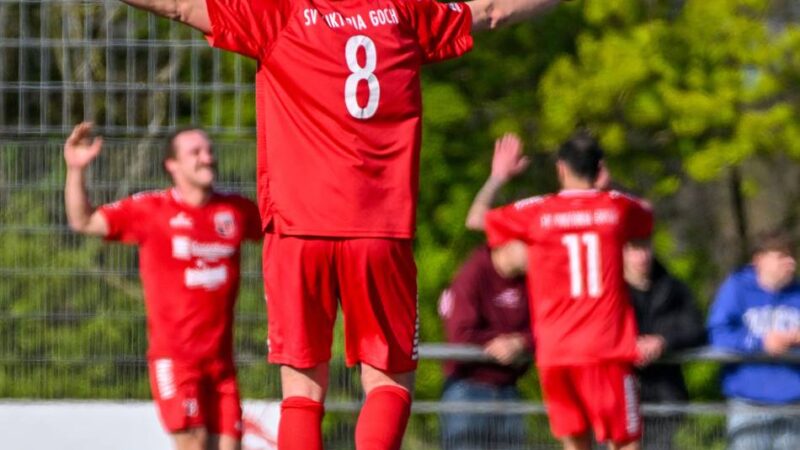 Der Stand der Dinge beim Personal: Viktoria Goch holt drei Neuzugänge und verliert einen Leistungsträger