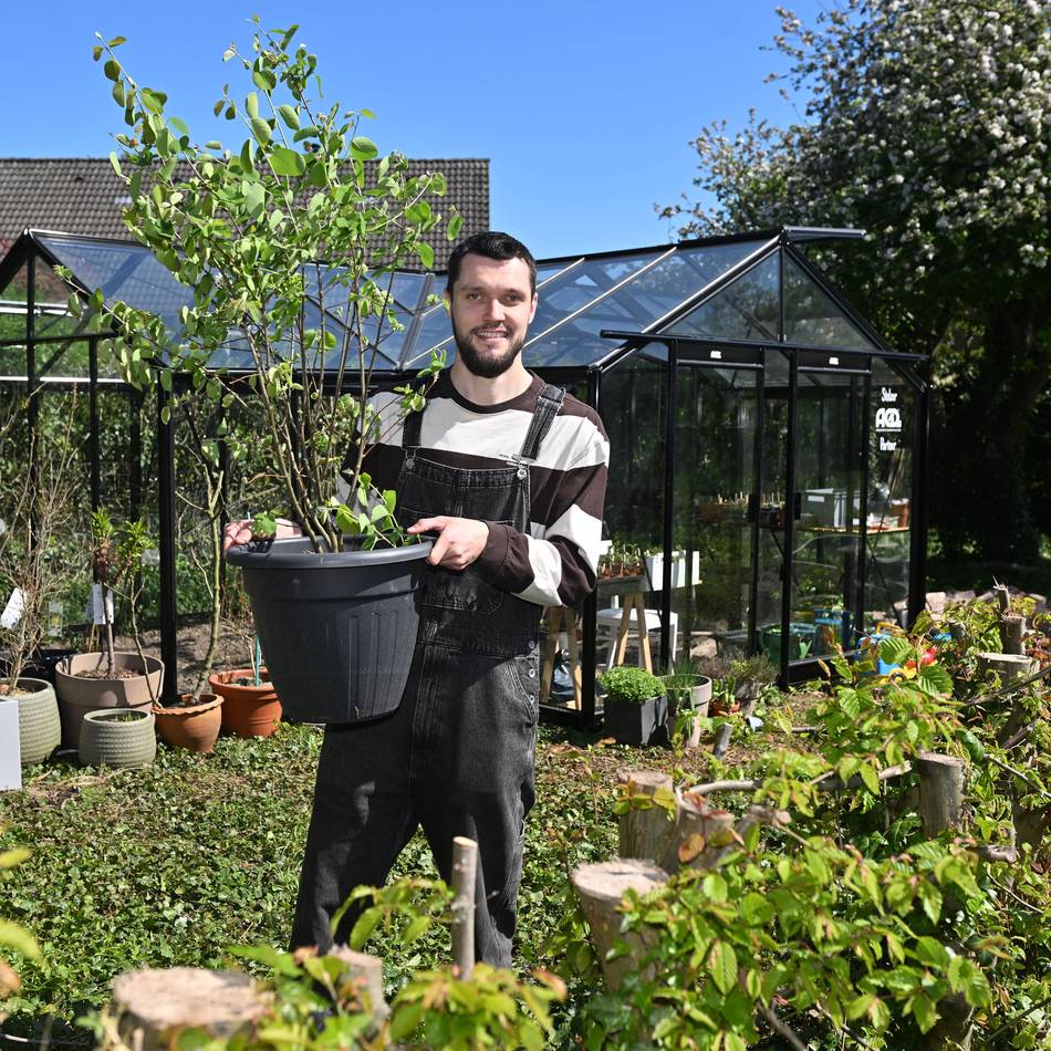 Zeitschrift für Gartenfreunde: Arthur Zilleckens gibt Einblick in die Welt des Gartengemüses
