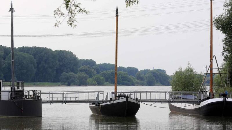 Einigkeit und Recht und Freiheit in Leverkusen: „Das gibt es so in Westeuropa nicht noch mal“