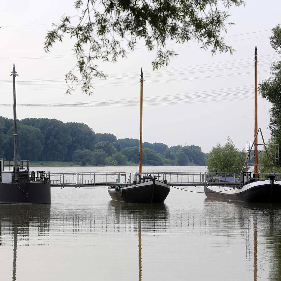 Einigkeit und Recht und Freiheit in Leverkusen: „Das gibt es so in Westeuropa nicht noch mal“