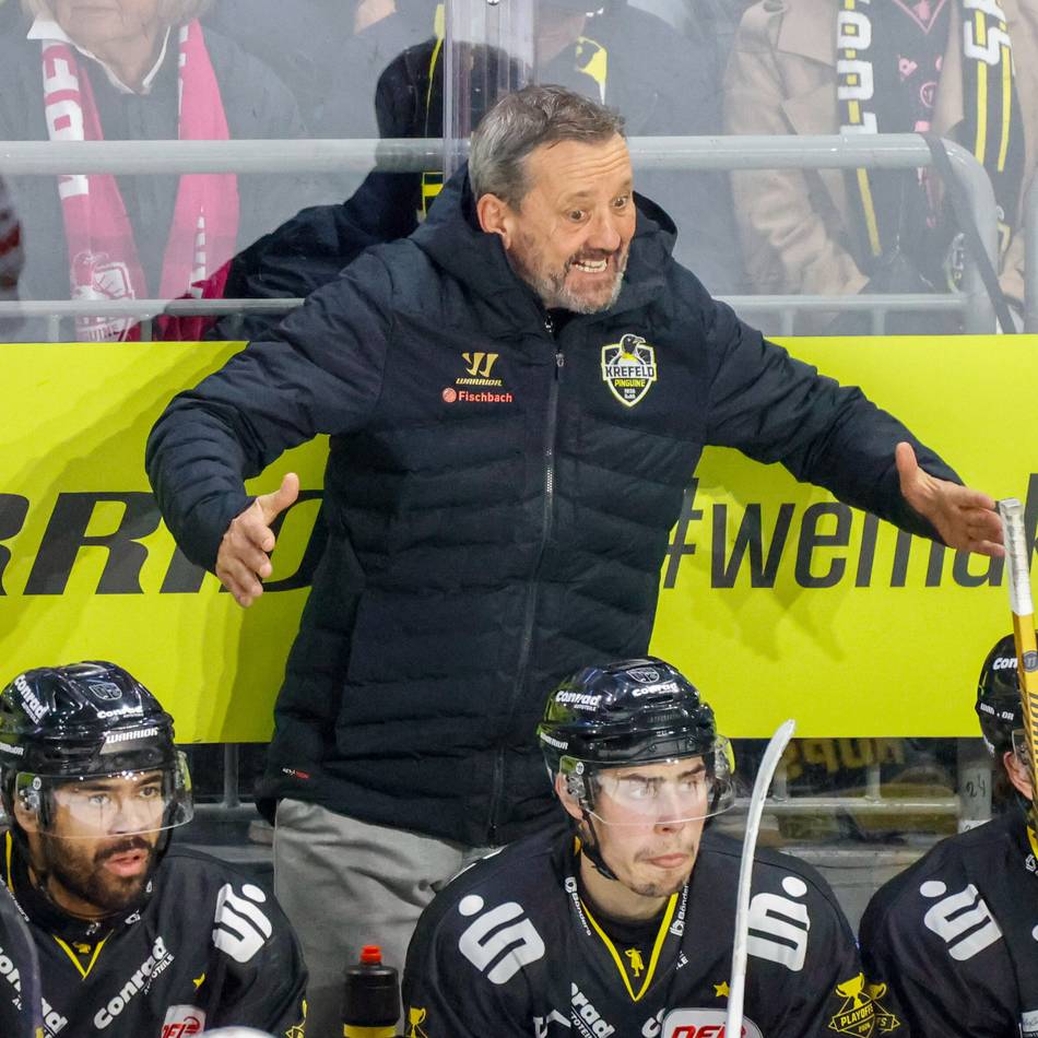 Der Trugschluss des zweiten Sweeps: Warum das Halbfinale gegen Regensburg nur auf dem Papier eindeutig war