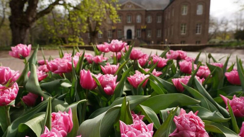 Vieles ist neu: Schlossgärten Arcen sind in die Saison 2026 gestartet