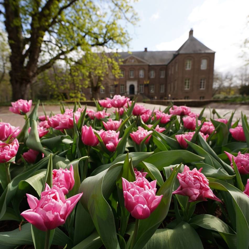 Vieles ist neu: Schlossgärten Arcen sind in die Saison 2026 gestartet