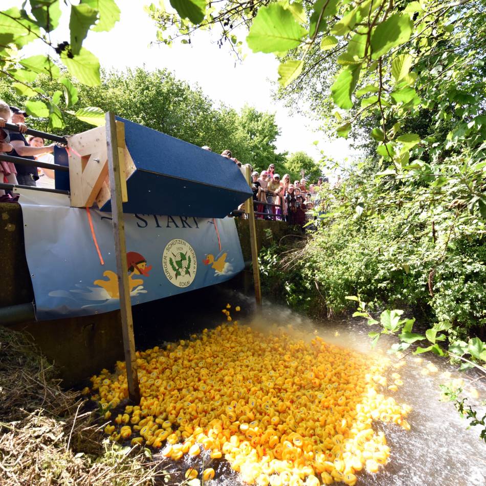 Veranstaltung in Eckum: Bald geht es für die Enten wieder in den Gillbach
