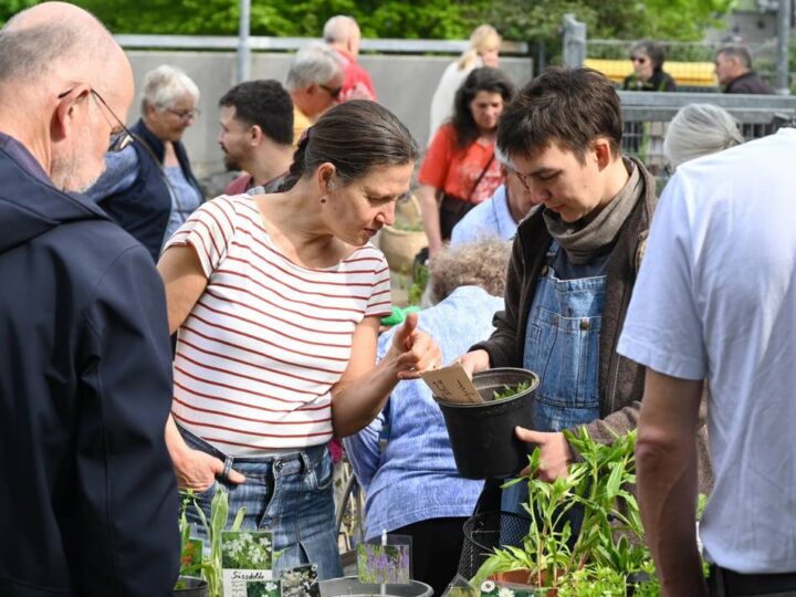 Trefffpunkt für Gartenfreunde in Radevormwald: Am 1. Mai ist wieder Pflanzentauschbörse