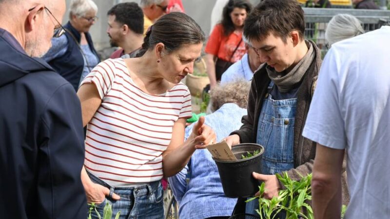 Trefffpunkt für Gartenfreunde in Radevormwald: Am 1. Mai ist wieder Pflanzentauschbörse
