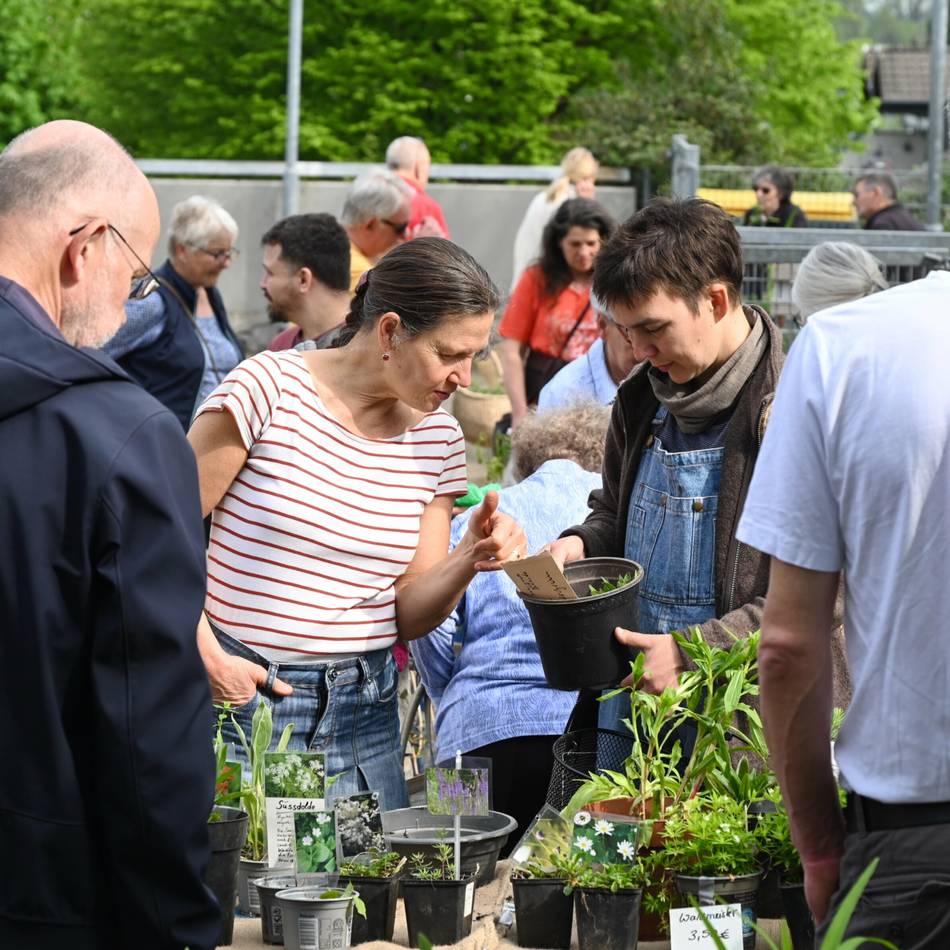 Trefffpunkt für Gartenfreunde in Radevormwald: Am 1. Mai ist wieder Pflanzentauschbörse