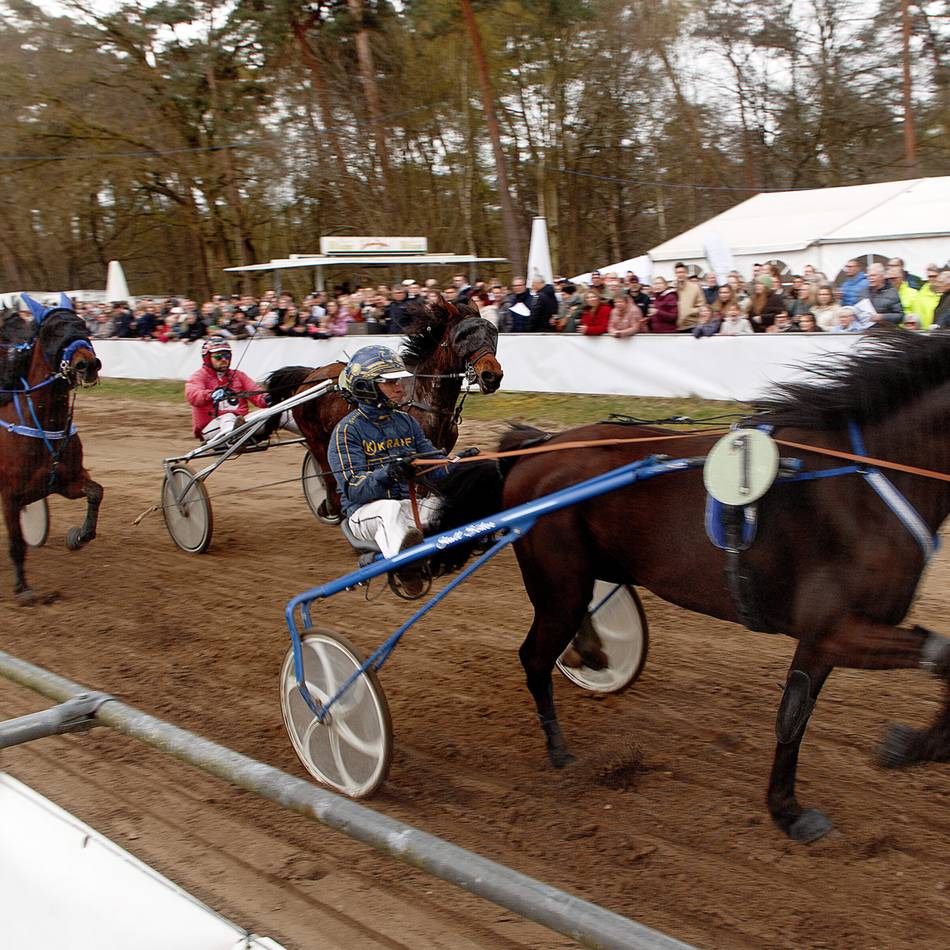 Graf Haeseler in Sonsbeck: Pferdesport zum Osterfest