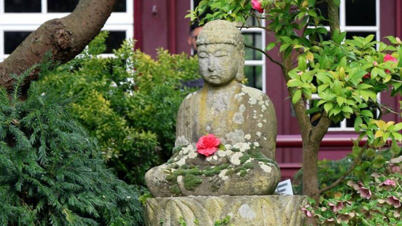Stadtrundfahrt in Leverkusen: Samstag geht’s zu grünen Oasen und Gaumenkitzel