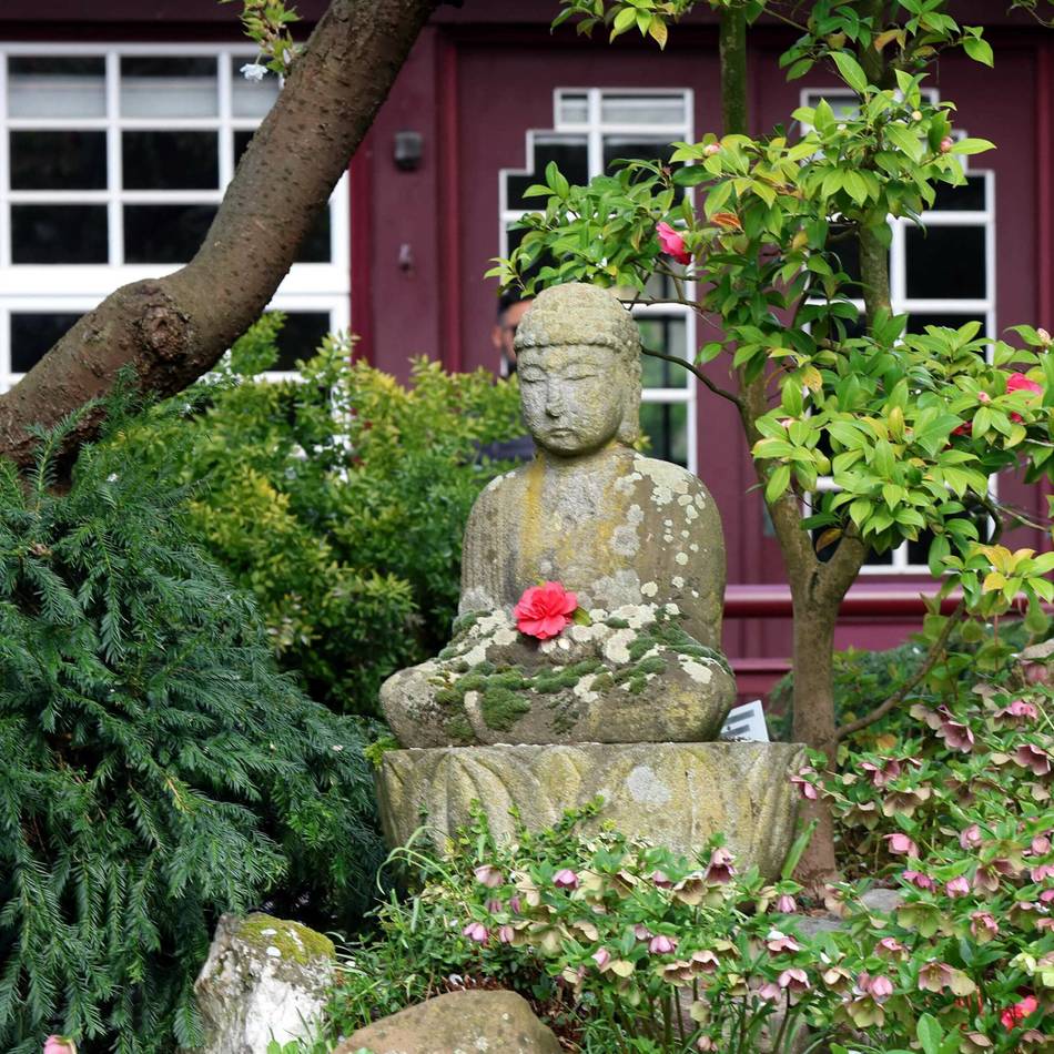 Stadtrundfahrt in Leverkusen: Samstag geht’s zu grünen Oasen und Gaumenkitzel