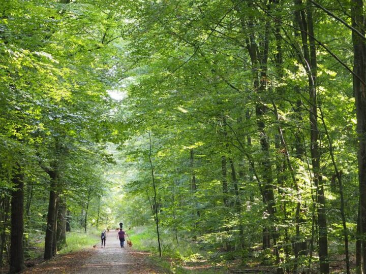 Start in den Mai im Kreis Kleve: Landglück Niederrhein – Drei Touren für die ganze Familie