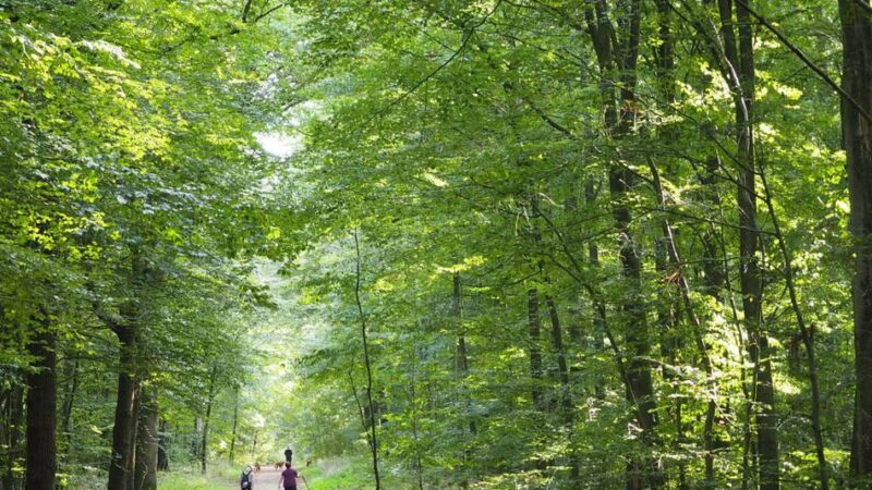 Start in den Mai im Kreis Kleve: Landglück Niederrhein – Drei Touren für die ganze Familie