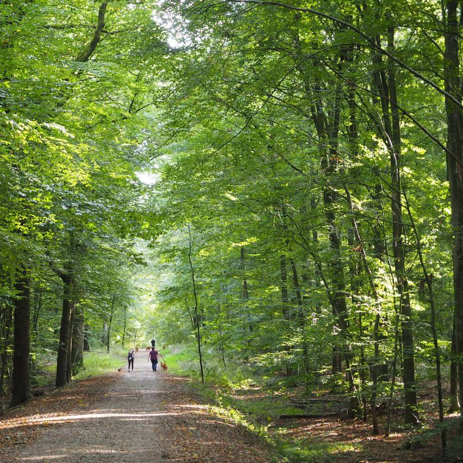 Start in den Mai im Kreis Kleve: Landglück Niederrhein – Drei Touren für die ganze Familie