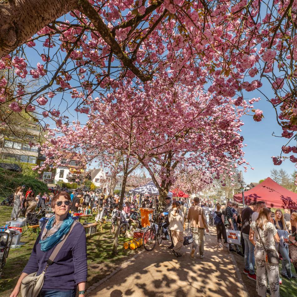 Frühlingsfest am Kermisdahl: Das Klever Kirschblütenfest wird in diesem Jahr noch größer