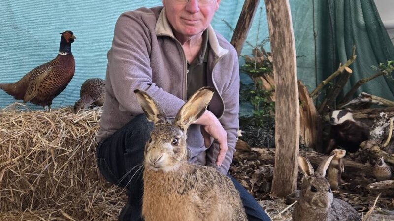 Dormagener Jäger über verbreitete Irrglauben : „Der Osterhase wird ja sogar in der Werbung falsch dargestellt“