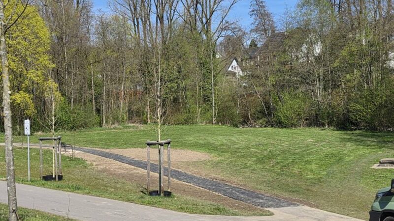 Hückeswagener Wupperauen: Regen kann Hundewiese-Weg nicht mehr „überfluten“