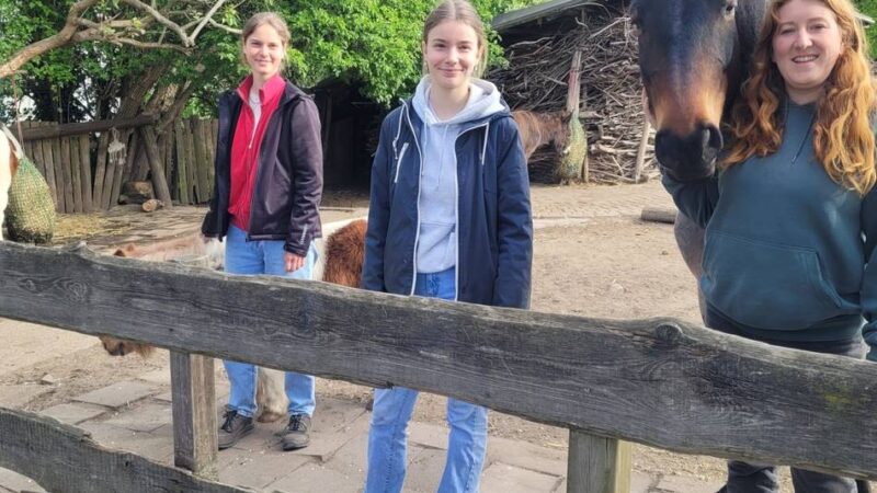 Mallewupp, Zoo und KBK suchen: Kaum freiwillige Helfer wegen Wechsel von G8 auf G9