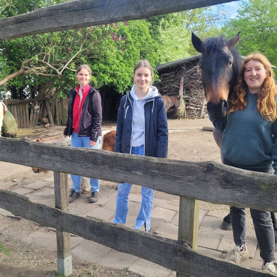 Mallewupp, Zoo und KBK suchen: Kaum freiwillige Helfer wegen Wechsel von G8 auf G9
