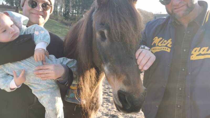 Charity-Event in Kaarst: Promi-Party für blindes Pony Lou und seine Freunde