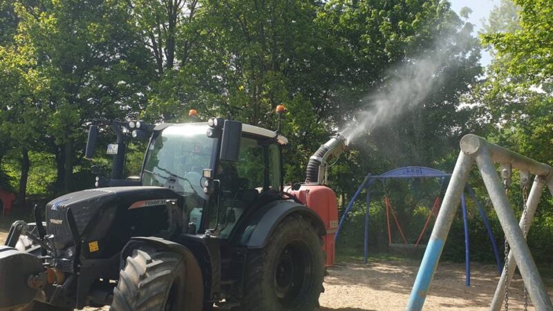 Gefährliche Raupen: Einsatz gegen Eichenprozessionsspinner in Grevenbroich