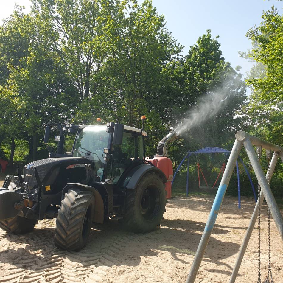 Gefährliche Raupen: Einsatz gegen Eichenprozessionsspinner in Grevenbroich