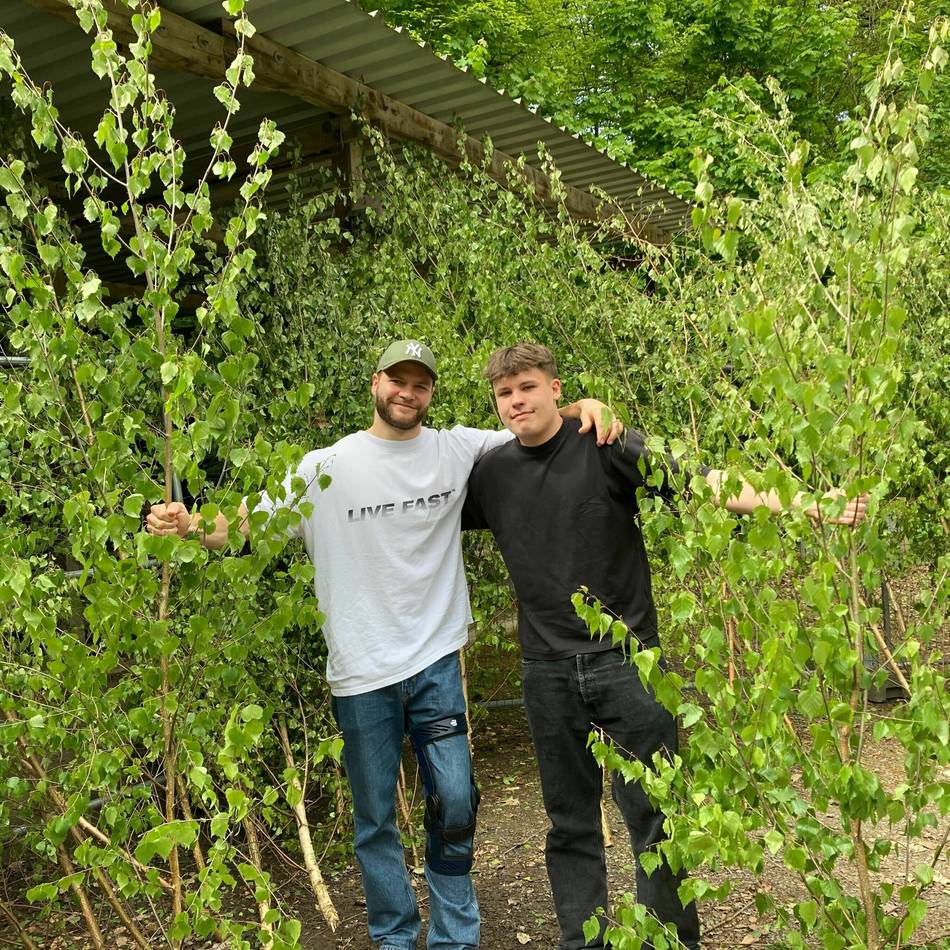 Brauchtum in Mönchengladbach: Die Mags verkauft erstmals geschmückte Maibäume