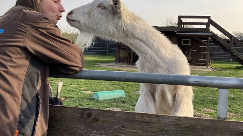 Lebenshof in Mönchengladbach: „Bei uns können die Tiere in Würde alt werden“