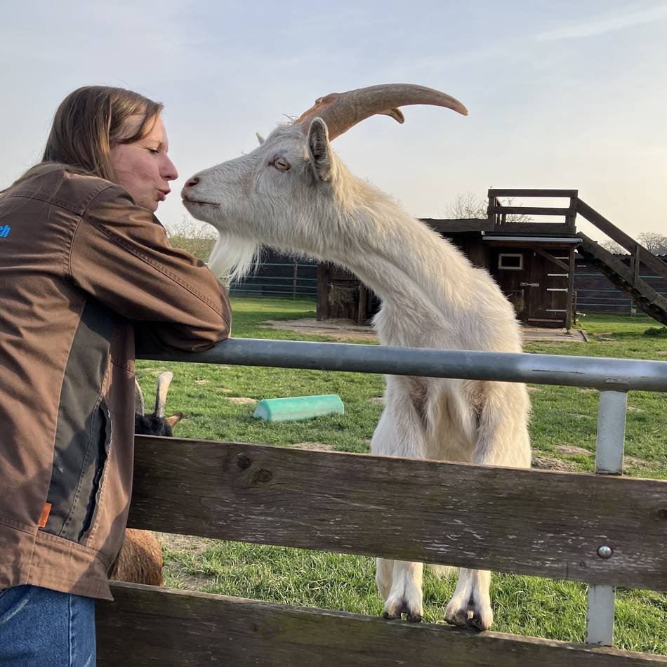 Lebenshof in Mönchengladbach: „Bei uns können die Tiere in Würde alt werden“