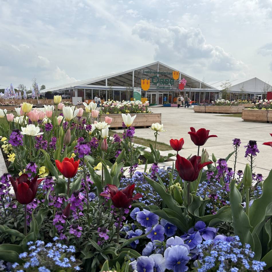 Nur für Besucher der Großveranstaltung: Stadtwerke Neuss bieten jetzt einen Laga-Stromtarif an