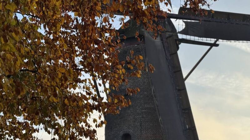 Vereine können sich präsentieren: Fest für Kinder und Jugendliche in Xanten geplant
