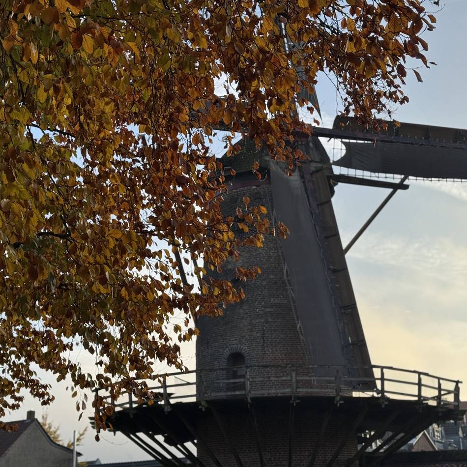 Vereine können sich präsentieren: Fest für Kinder und Jugendliche in Xanten geplant