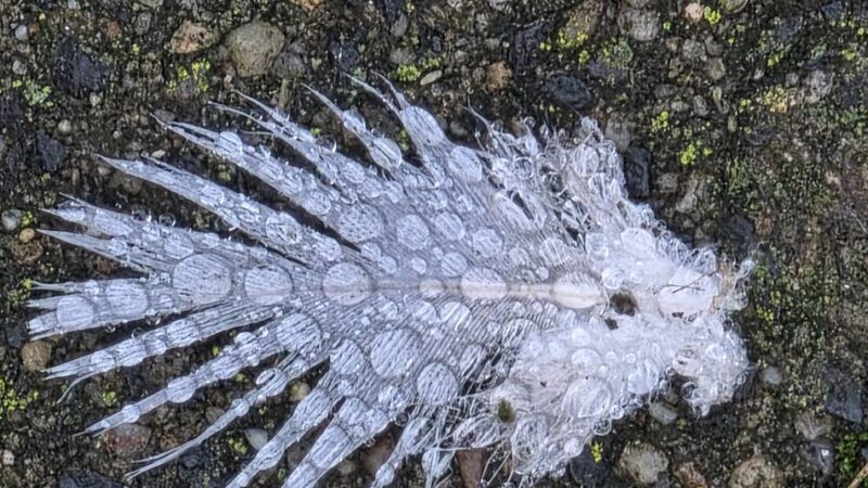 Fotografien in Korschenbroich: Kunstausstellung „In die Zeit gefallen“ im Kulturbahnhof
