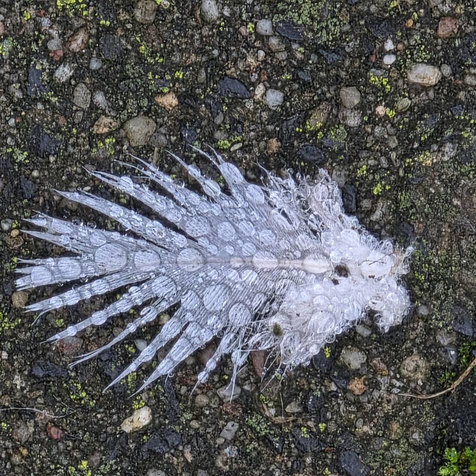 Fotografien in Korschenbroich: Kunstausstellung „In die Zeit gefallen“ im Kulturbahnhof