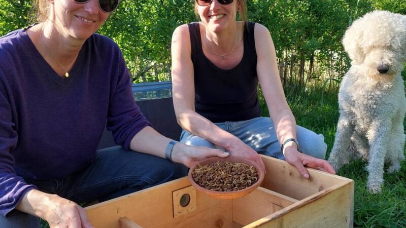 Tiere in Düsseldorf: Warum Düsseldorf sich nicht an Igeltoren beteiligen will