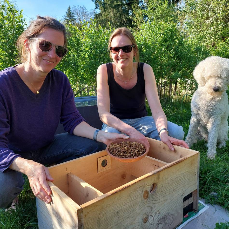 Tiere in Düsseldorf: Warum Düsseldorf sich nicht an Igeltoren beteiligen will