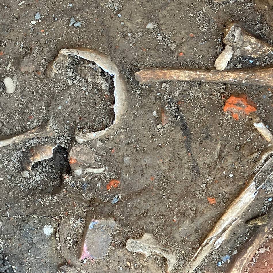 Nach Knochenfunden in Rheindahlen: Mehr Archäologen untersuchen entdeckte Skelette