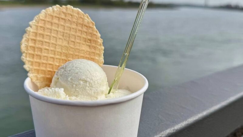 Von Avocado bis Matcha: Diese Exoten gibt’s in Neusser Eisdielen