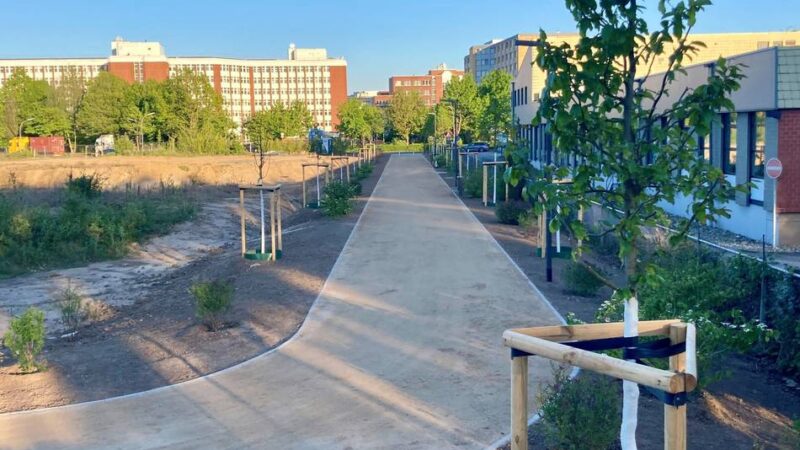 Pläne für bis zu 1500 Wohnungen: So soll das neue Wohnquartier im Neusser Hammfeld aussehen