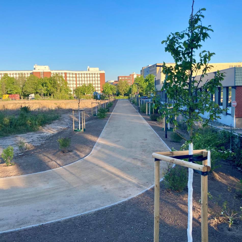 Pläne für bis zu 1500 Wohnungen: So soll das neue Wohnquartier im Neusser Hammfeld aussehen