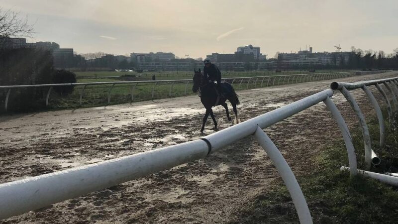 So kam die Landesgartenschau nach Neuss: So wurde der lang gehegte Traum vom „Central Park“ wahr