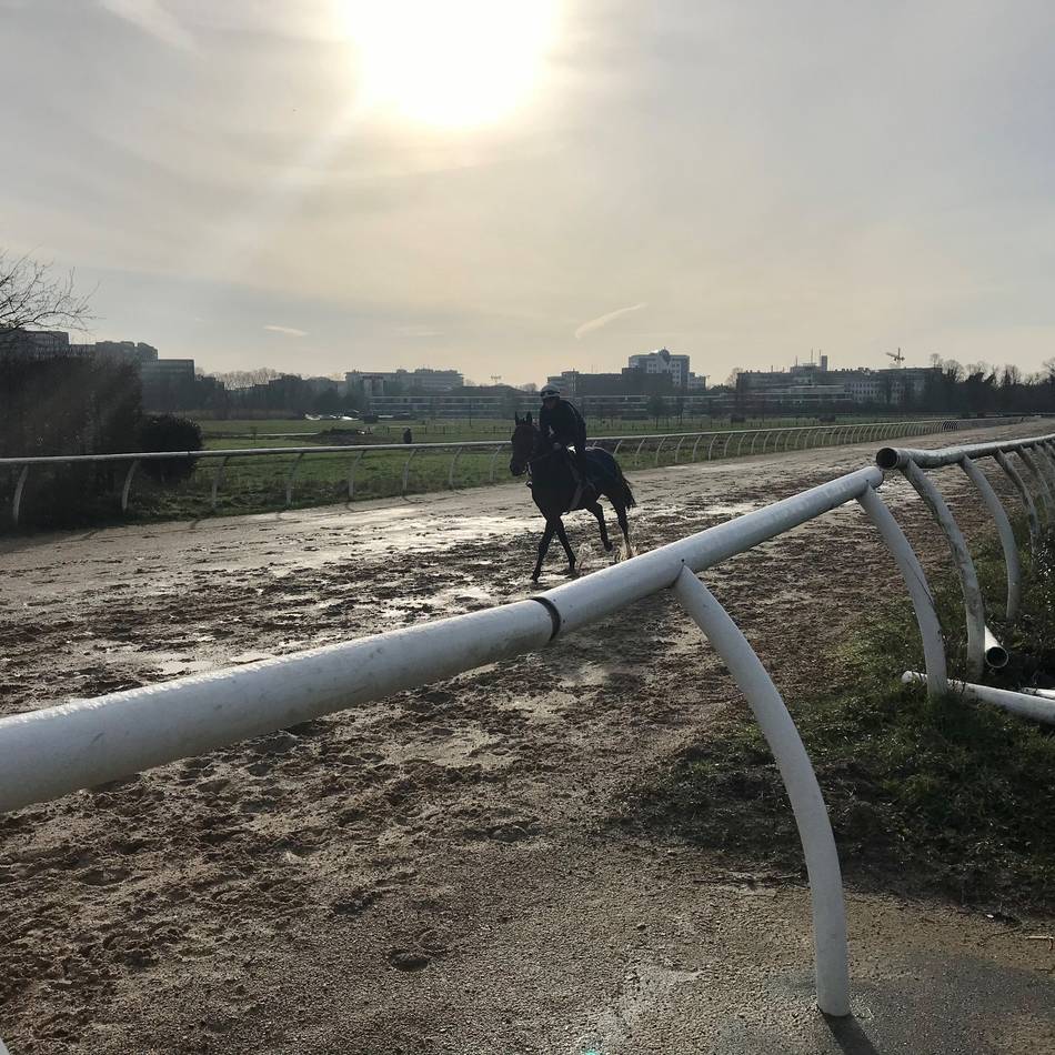 So kam die Landesgartenschau nach Neuss: So wurde der lang gehegte Traum vom „Central Park“ wahr