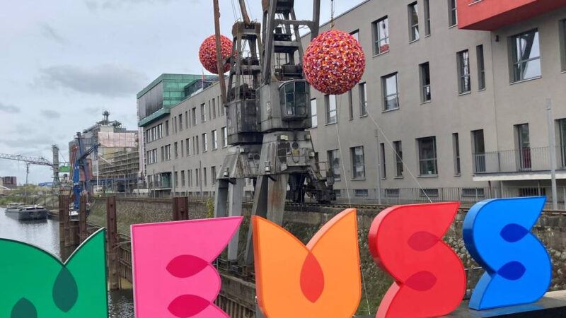 Landesgartenschau vor der Eröffnung: Hoffnung auf das Neusser Sommermärchen