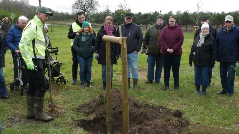Jubiläumswald in Nettetal

: 18 neue Bäume für den Nettebruch gepflanzt