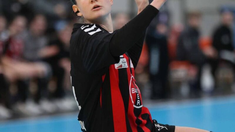 Personalien und Spieltag: Elfen wollen Hinspielsieg in Buchholz bestätigen – Kaderplanung nimmt Form an