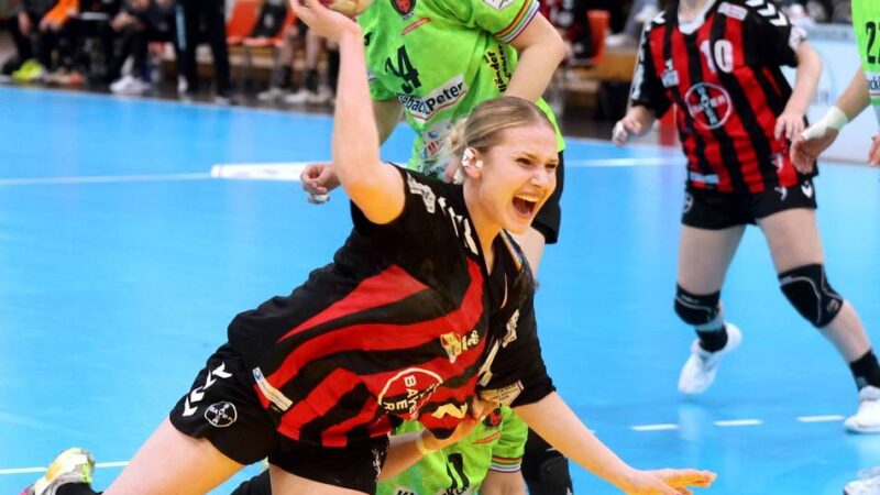 Niederlage gegen Spitzenteam: Elfen wehren sich tapfer gegen die Füchse Berlin