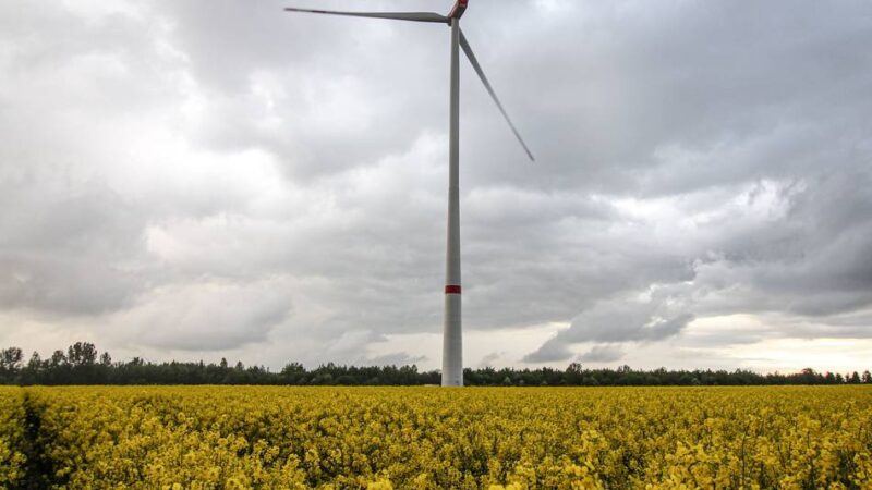 Windkraftausbau in Sonsbeck: Für drei Flächen sind ab sofort Stellungnahmen möglich